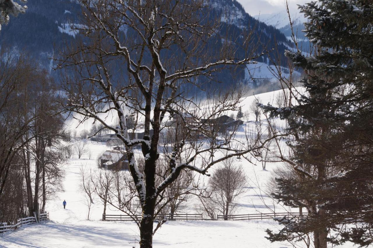 Apartment Alpenpanorama Goldegg Zewnętrze zdjęcie