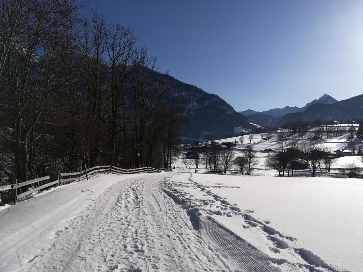 Apartment Alpenpanorama Goldegg Zewnętrze zdjęcie