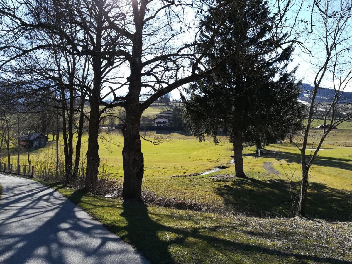 Apartment Alpenpanorama Goldegg Zewnętrze zdjęcie
