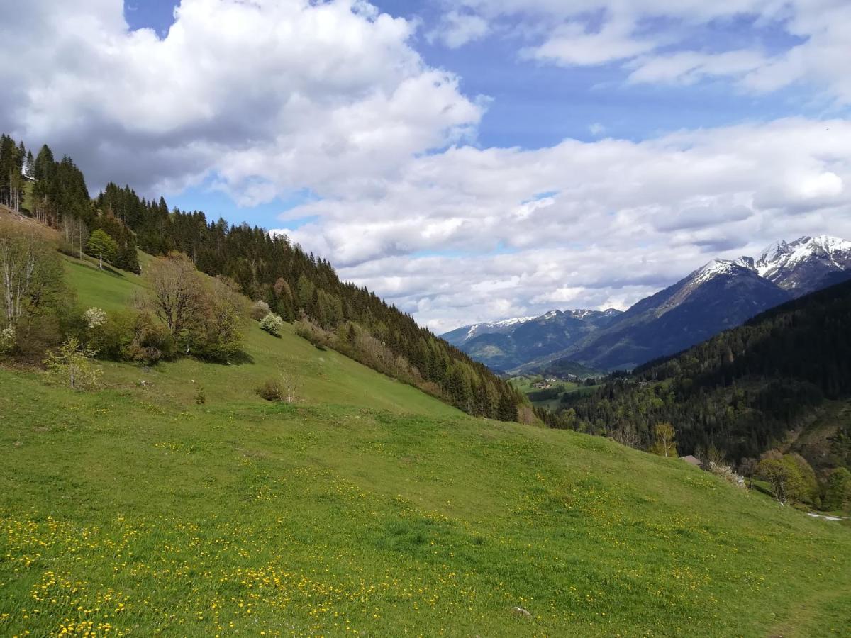 Apartment Alpenpanorama Goldegg Zewnętrze zdjęcie